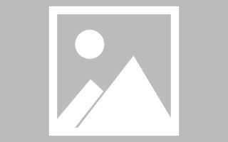 阜宁论文网站建设（网站建设的论文）